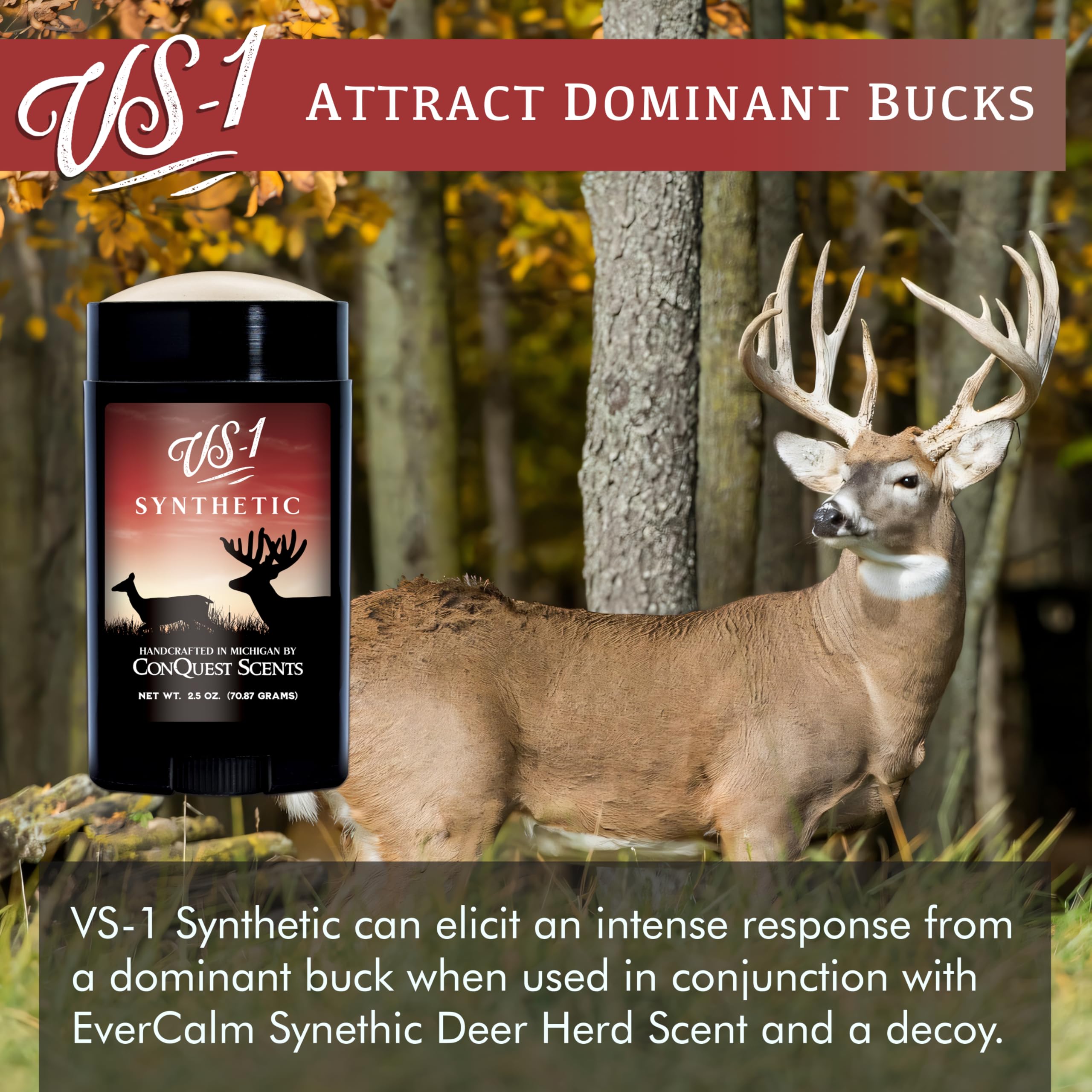 Conquest Scents Vs-1 in mock scrape setup for realistic tracking cues.