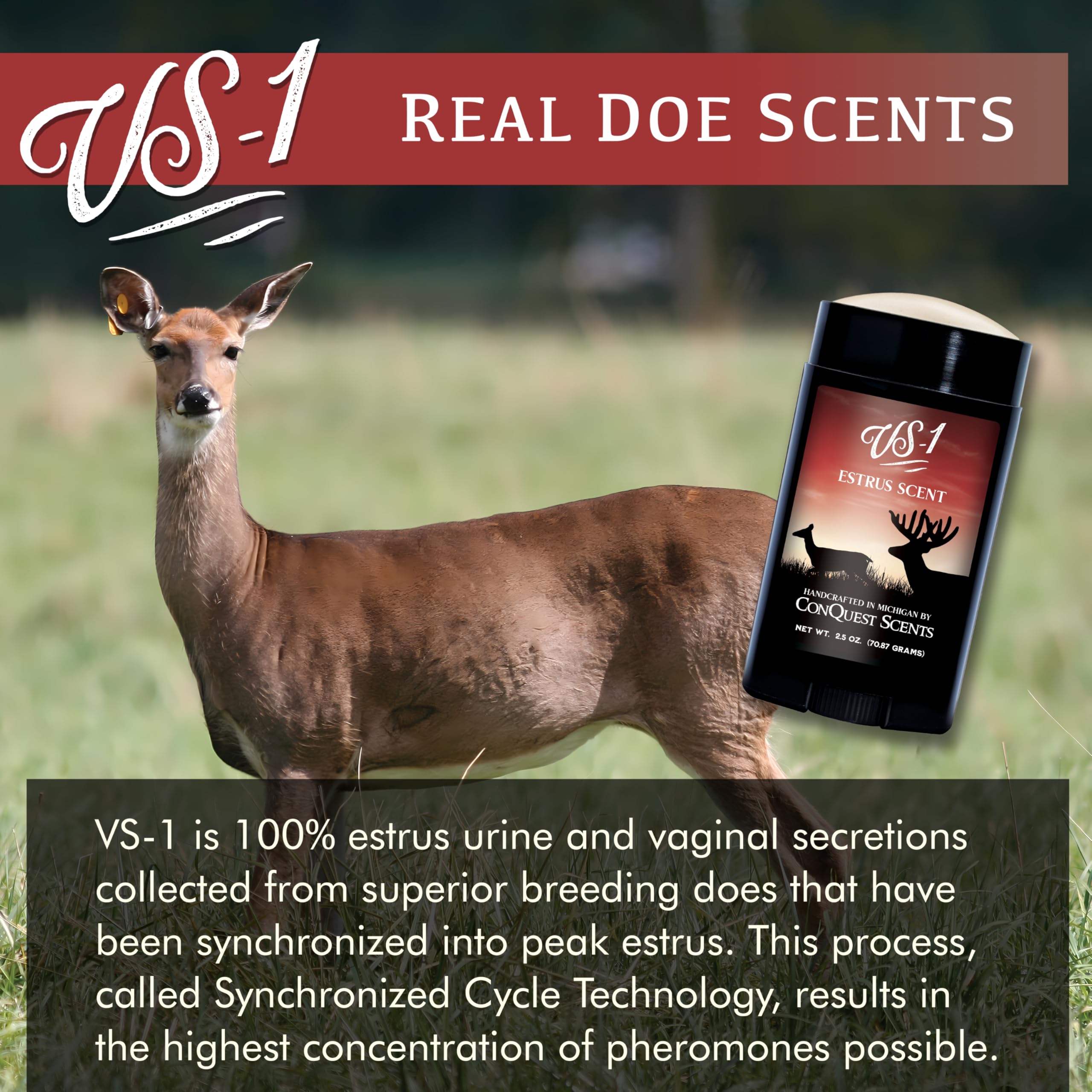 Conquest Scents Vs-1 wax-stick applied to a tree provides a mess-free estrus scent trail.