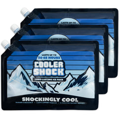 Cooler Shock 14x10 inch ice pack inside a cooler keeps foods and drinks cold
