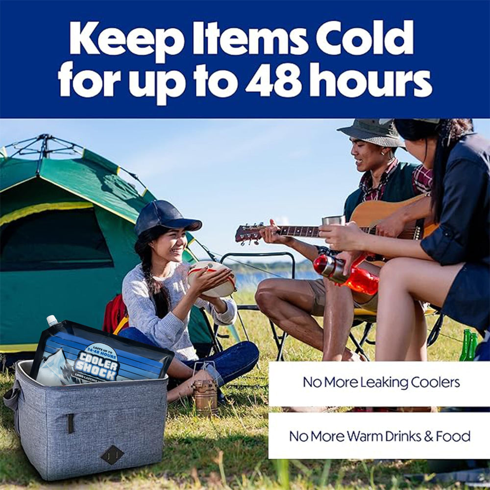 Cooler Shock large 14x10 inch pack fits XL coolers and totes