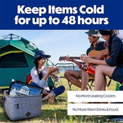 Cooler Shock large 14x10 inch pack fits XL coolers and totes