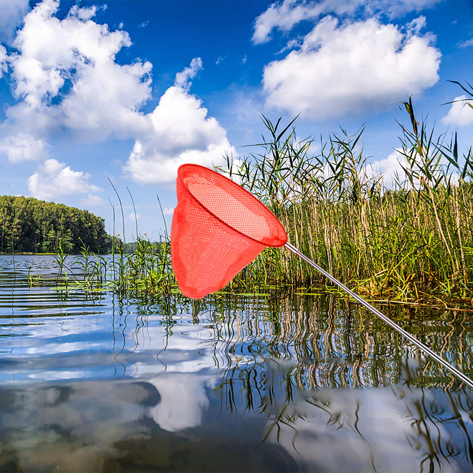 Large net pocket designed to safely catch and release insects