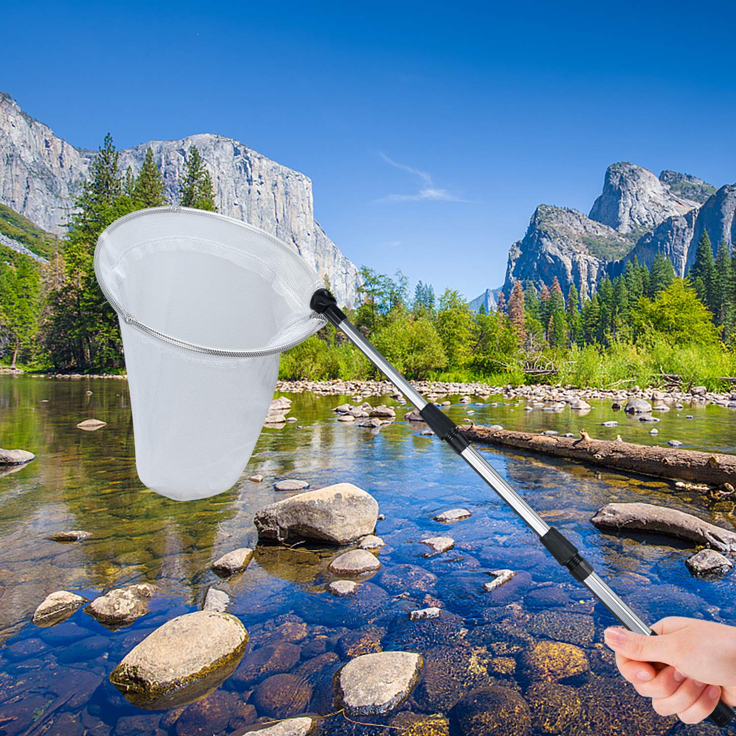 Package contents include butterfly net