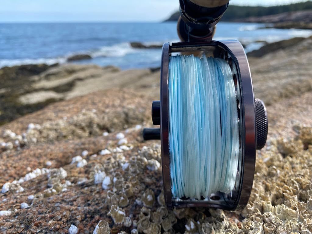 Color contrast of clear head and light blue running line on Cortland Compact Intermediate