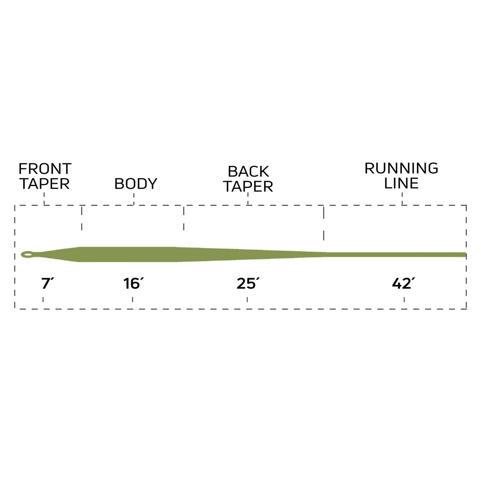 Cortland Modern Trout Line Moss rod-load image showing rapid loading for efficient casts.
