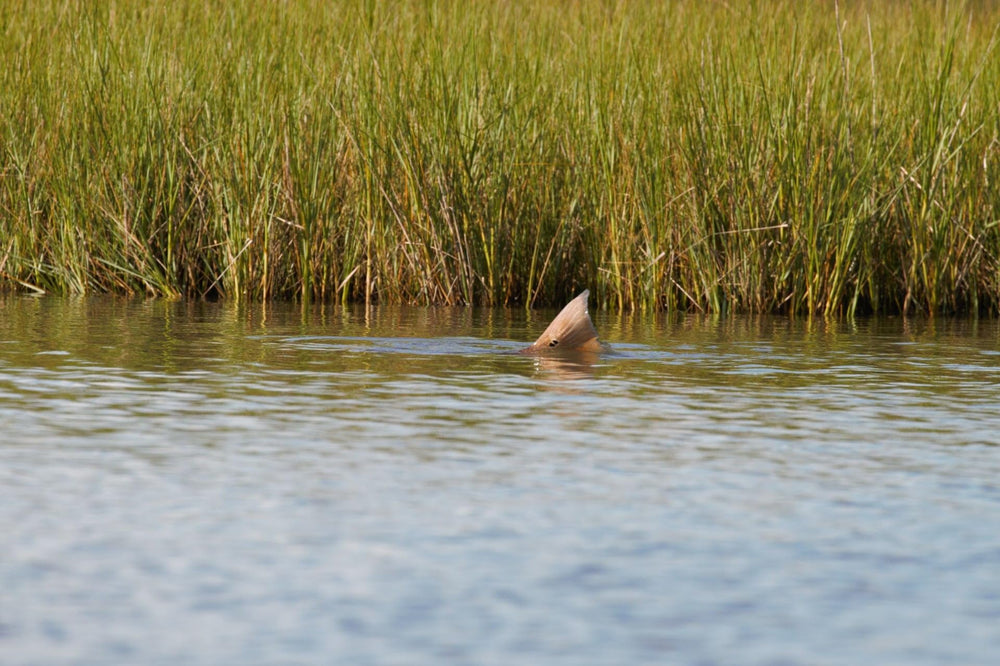Cortland Tropic Plus Redfish Line casting action highlights fast load and smooth turnover.