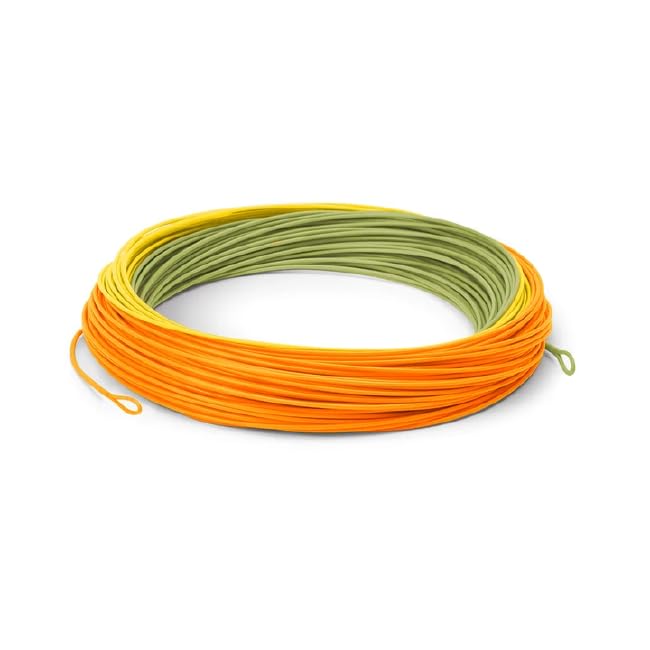 Aggressive front taper detail on Cortland Trout Boss DT2F