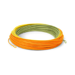Aggressive front taper detail on Cortland Trout Boss DT2F