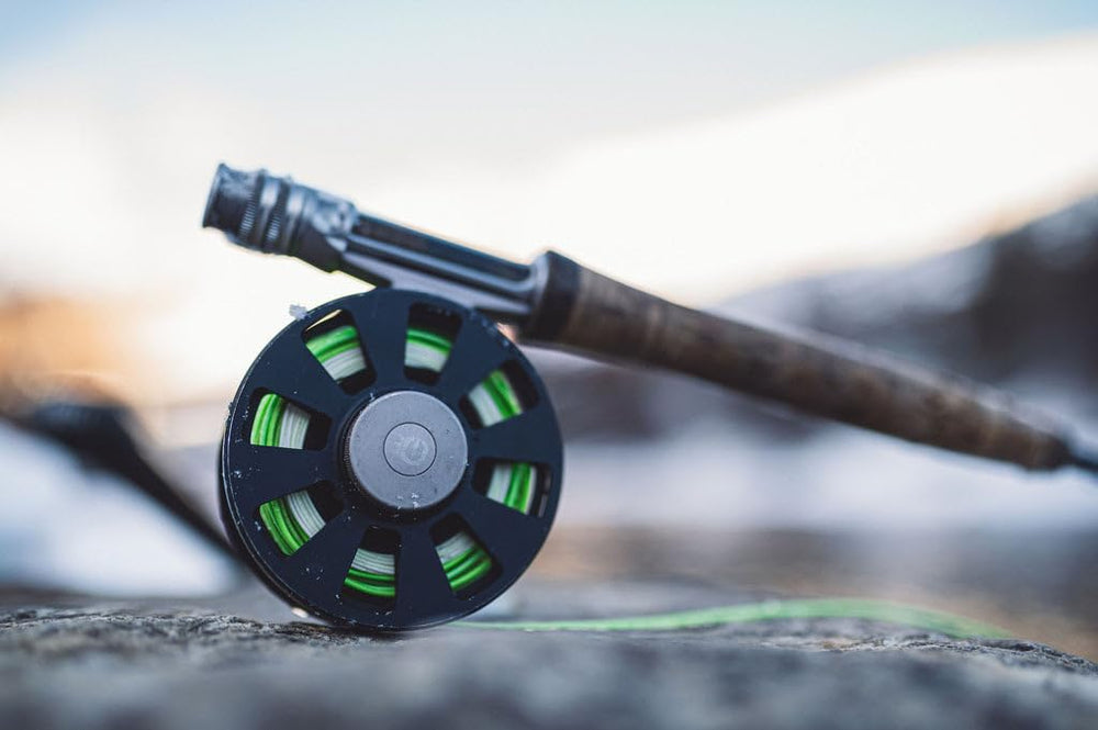 Cortland Trout Boss line close-up emphasizes high floating for surface presentation