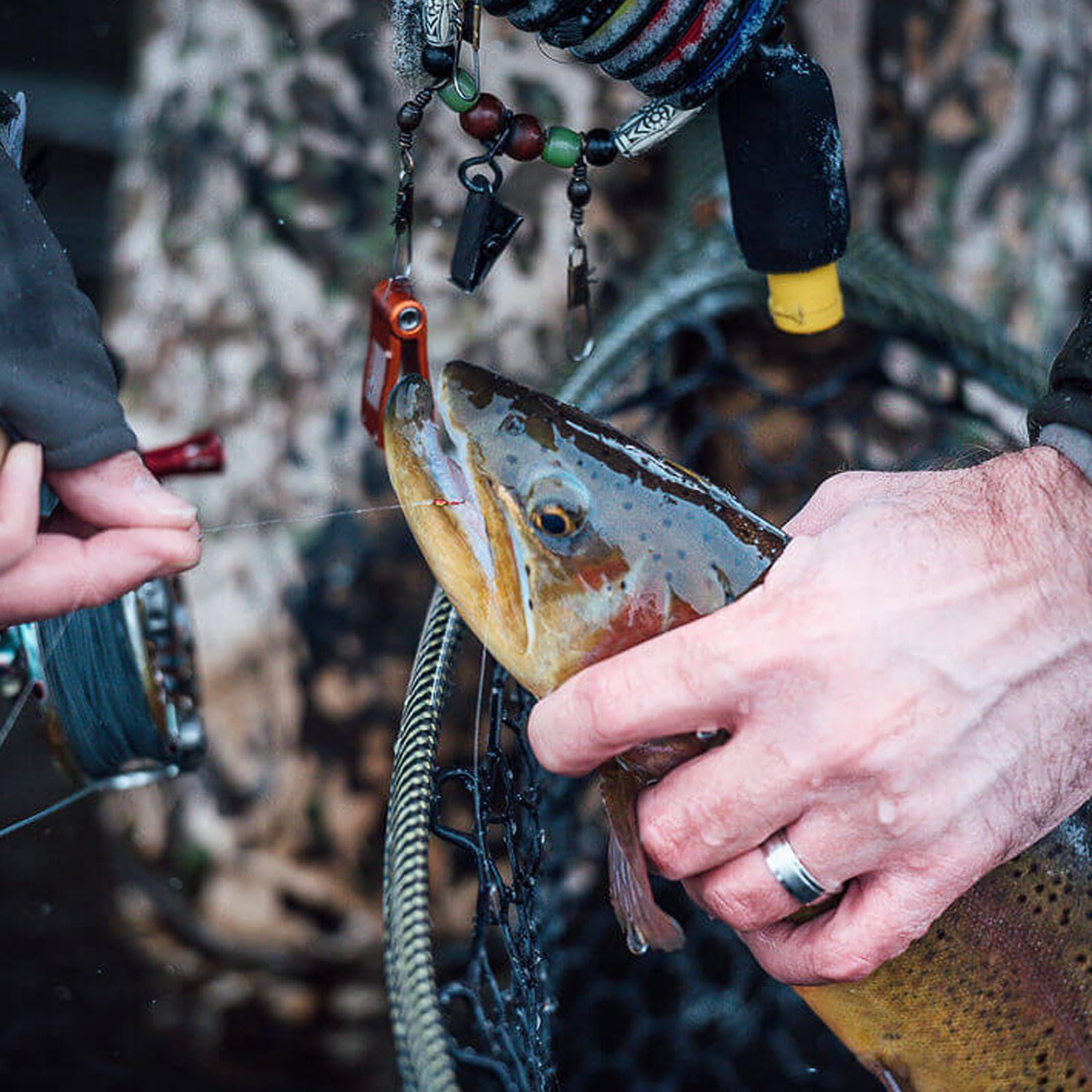 Cortland tippet in nymphing setup demonstrates abrasion resistance against obstacles