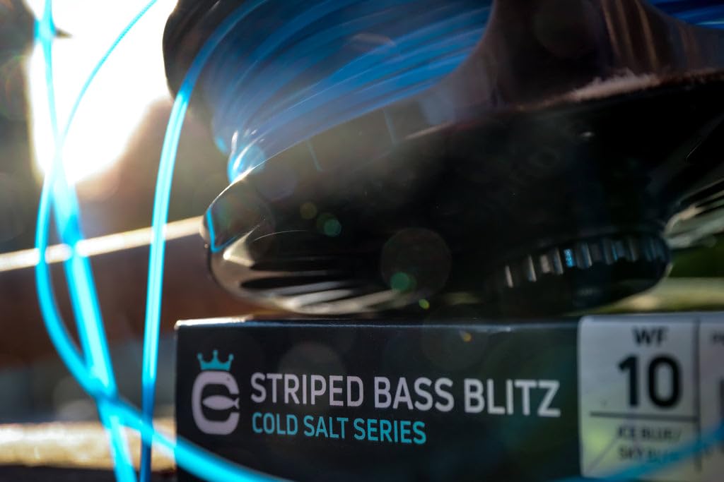 Close-up head design of Cortland Striped Bass Blitz fly line