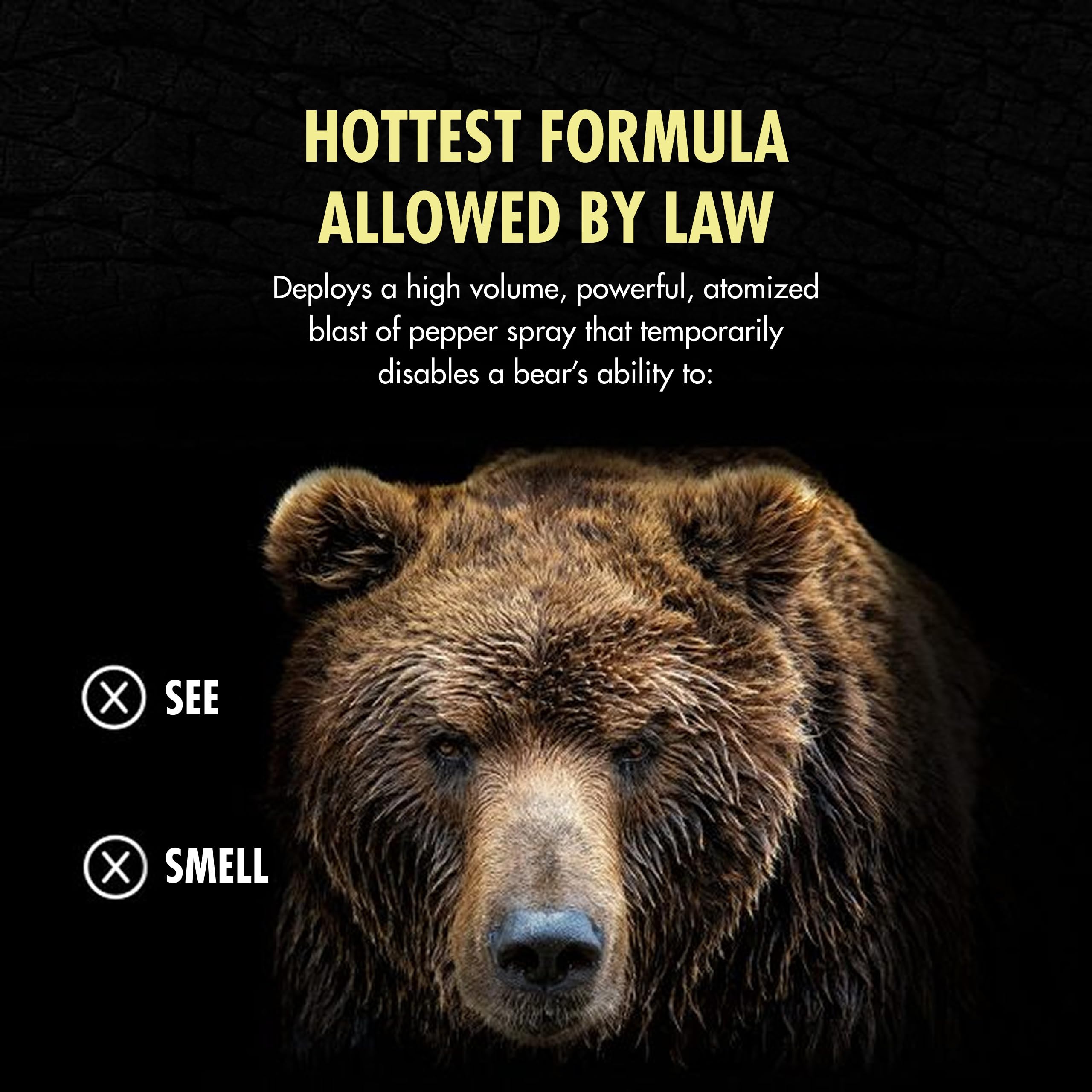Counter Assault bear spray in a compact pack-ready canister.