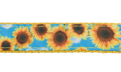 Country Brook Design Sunflowers ribbon on nylon webbing offers soft touch and rugged strength.