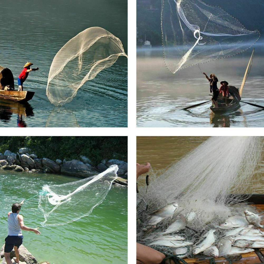 Cast net catching crabs and shrimp