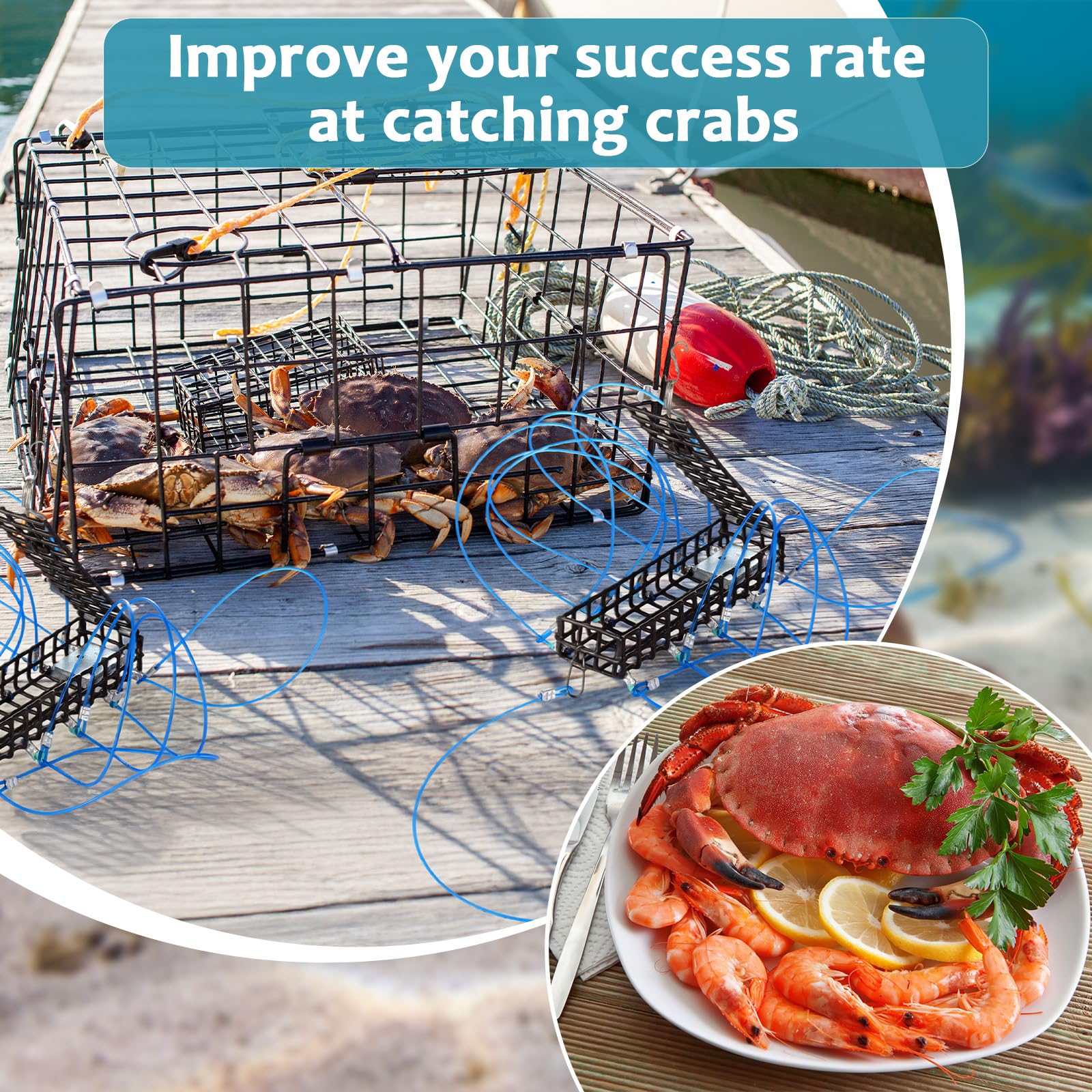 Crab snare traps catching Dungeness, blue, red rock crabs