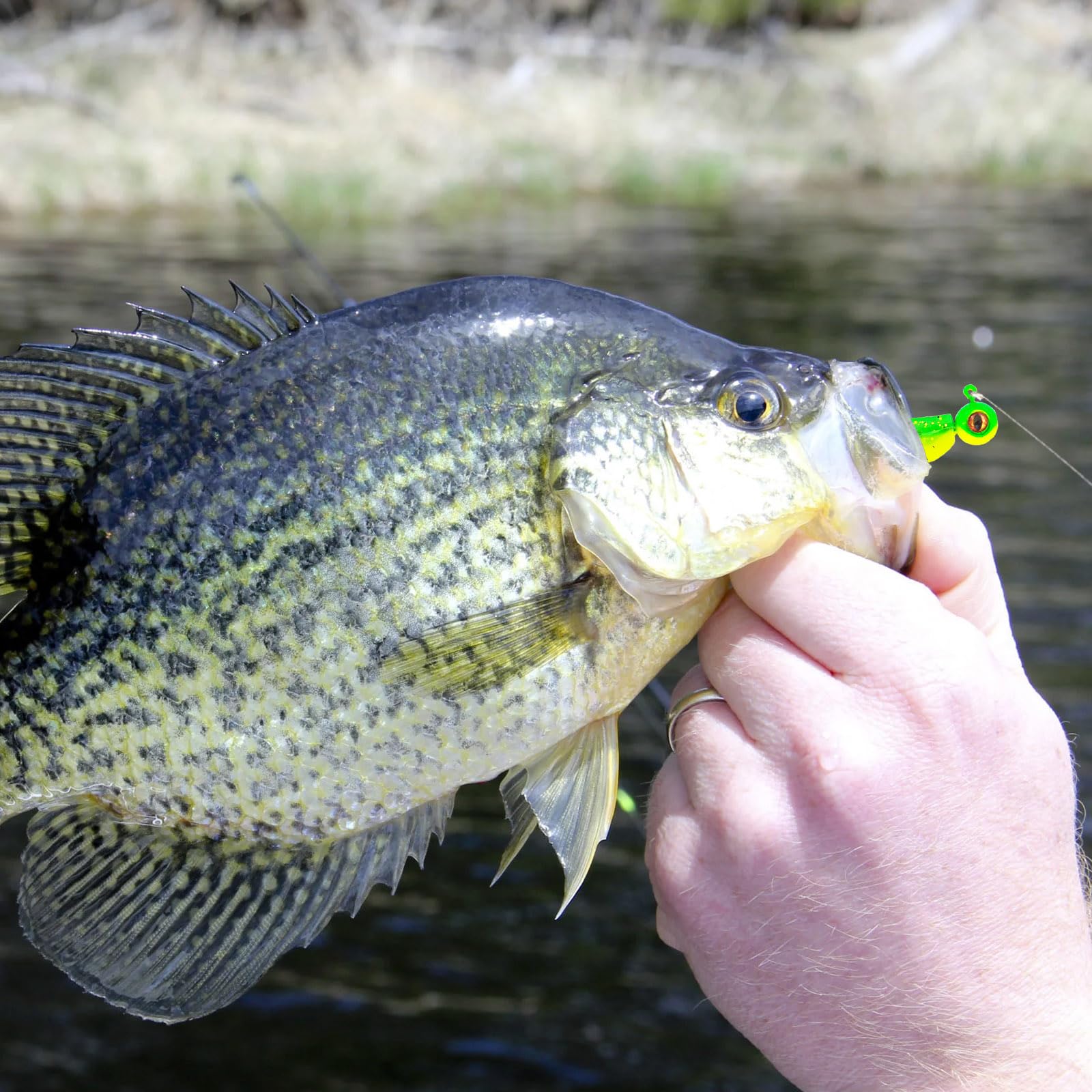 Lanmoon 75-pack crappie jigs in box