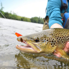 Crappie lures color assortment in a storage case