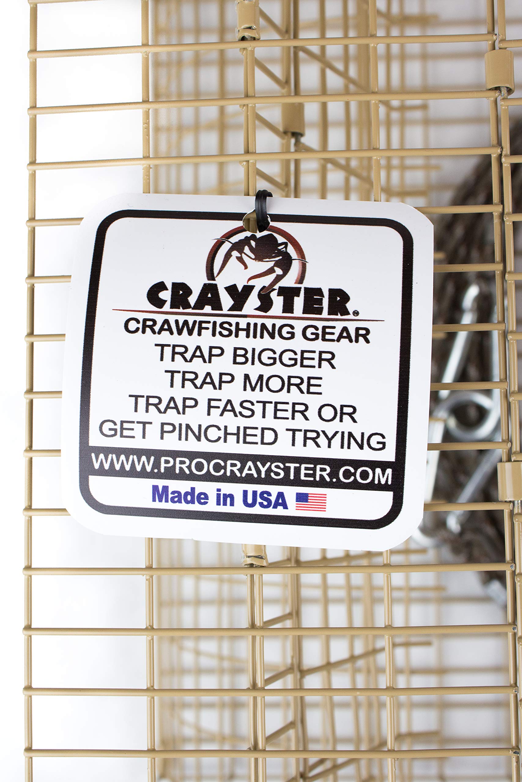 Crayster Lake Trap catching large crawfish in action