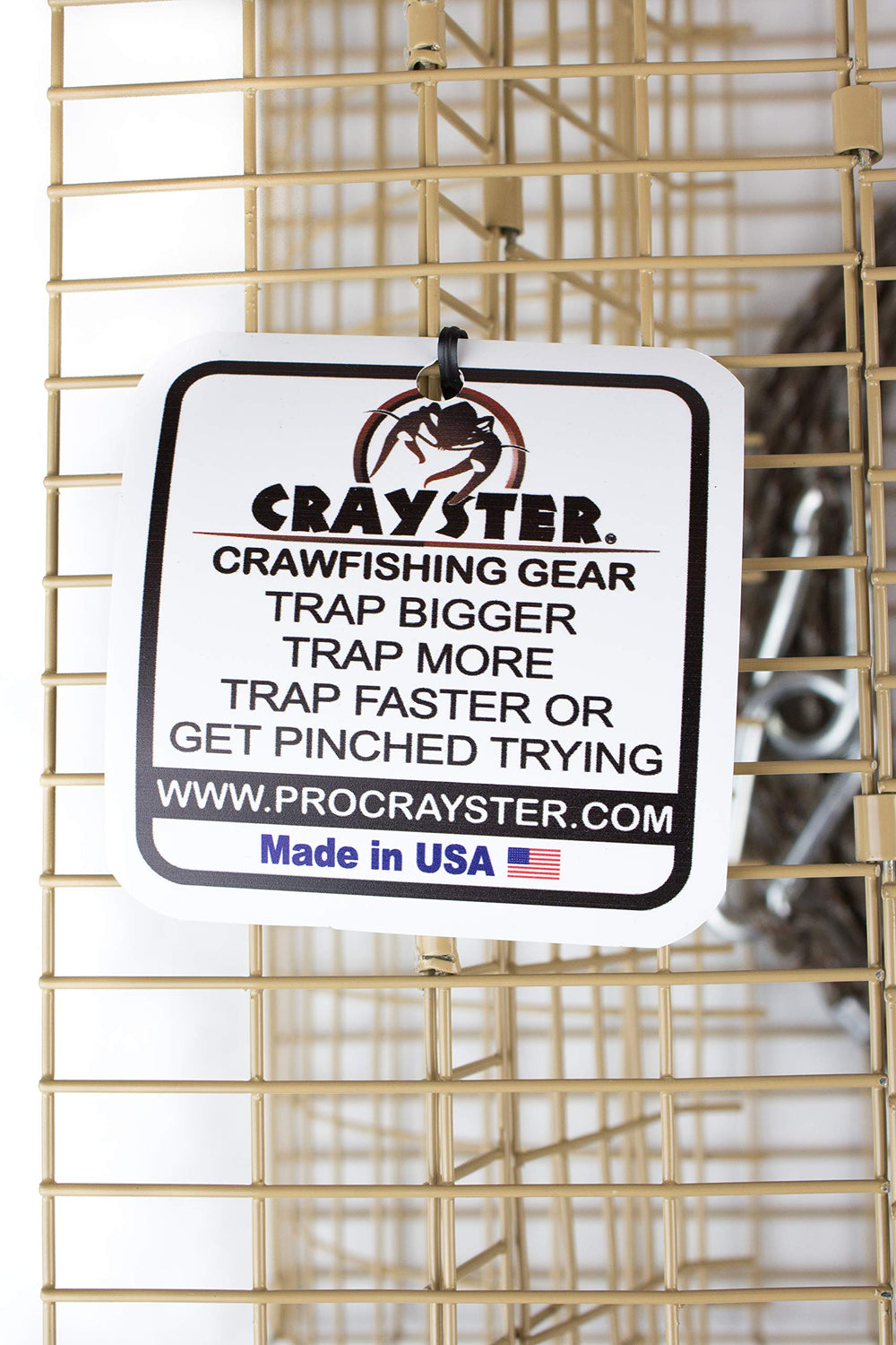 Crayster Lake Trap catching large crawfish in action