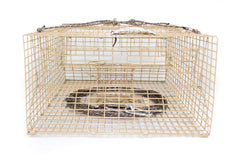 Crayster Lake Trap interior with built-in bait tray for easy bait management