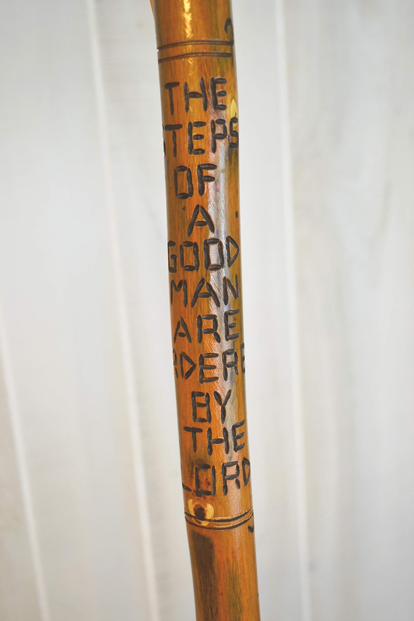 CreationCarvings hardwood walking stick with leather strap for easy carrying on hikes.