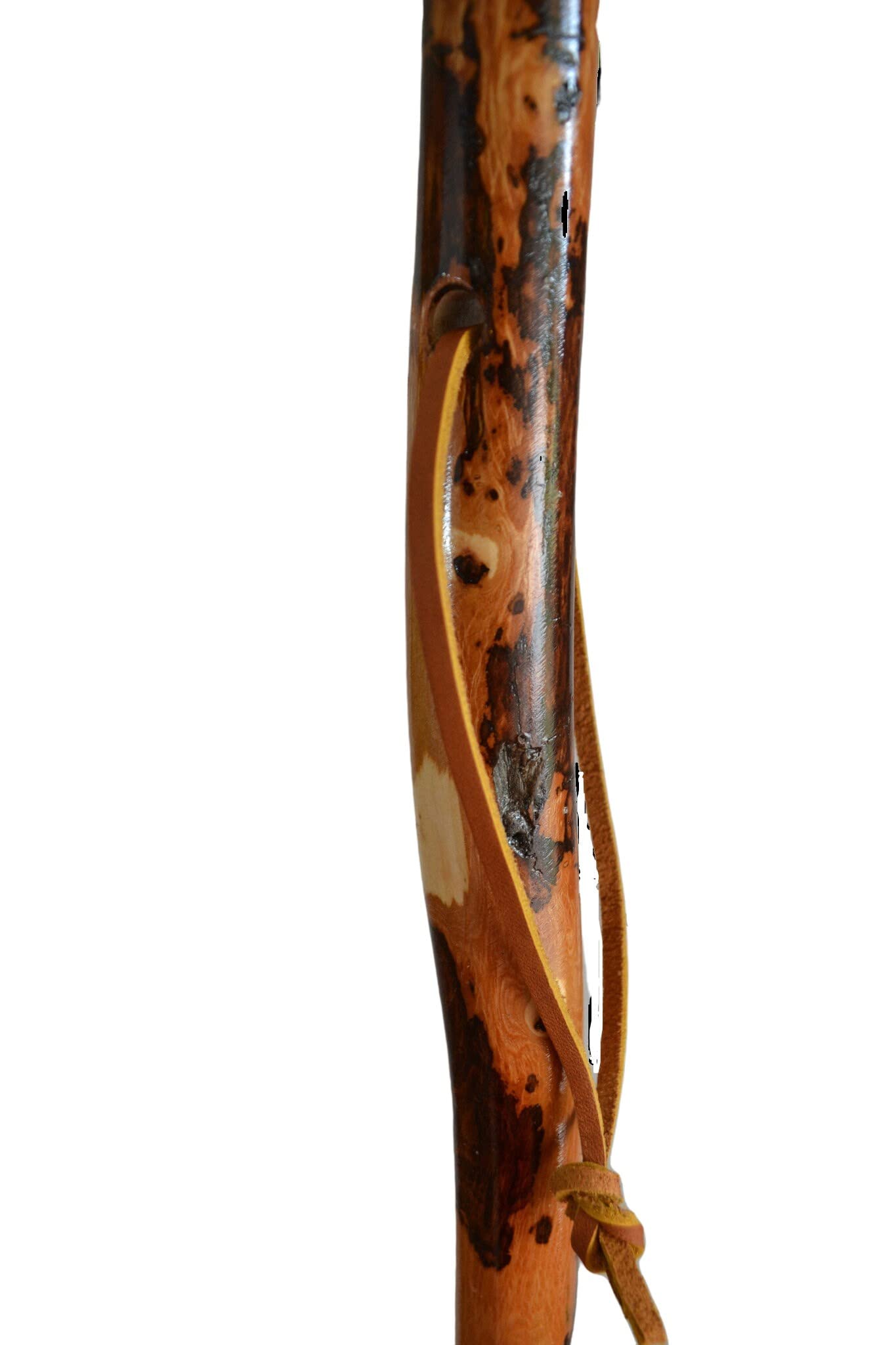 CreationCarvings walking stick in free-form hickory for steady support on trails