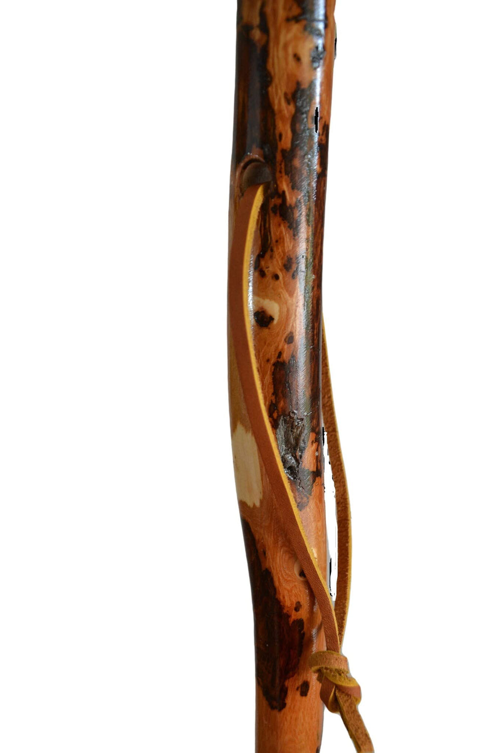 CreationCarvings walking stick in free-form hickory for steady support on trails