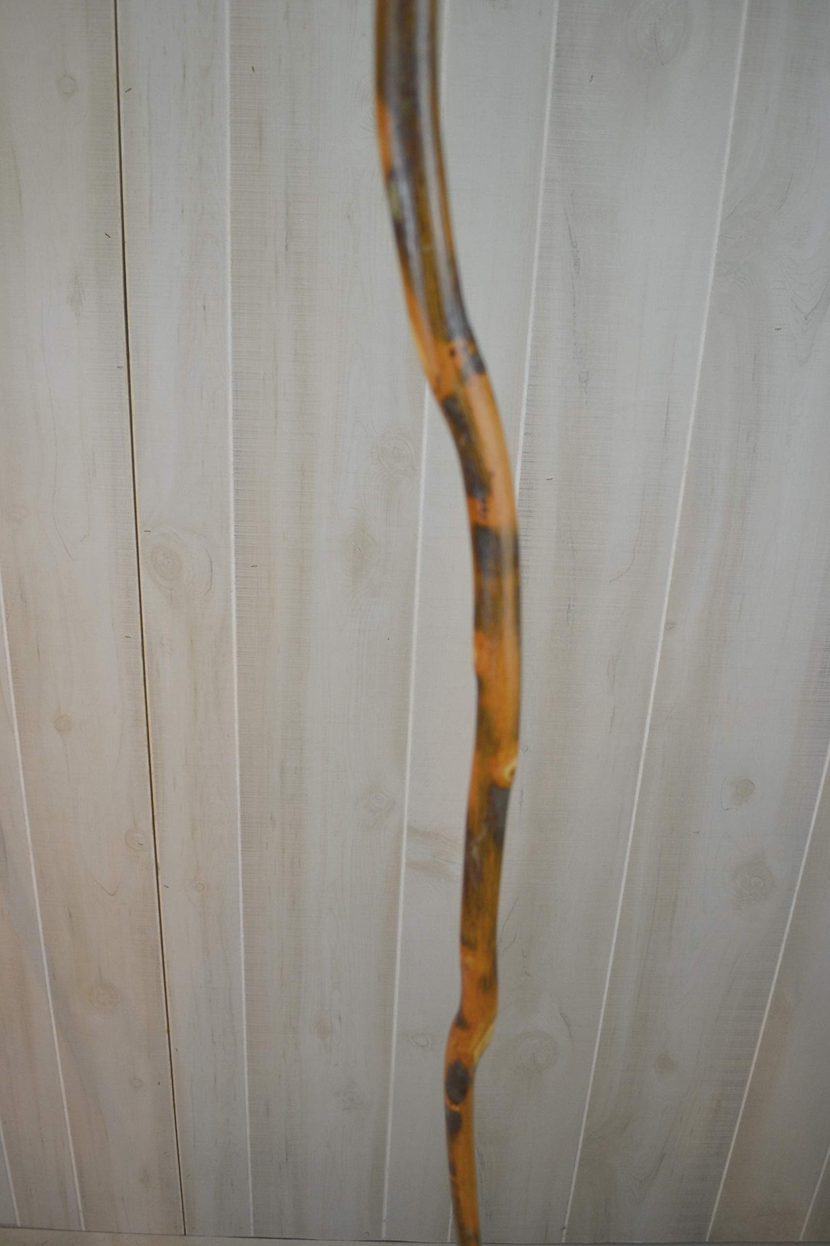 CreationCarvings walking stick with rubber tip for secure grip on uneven terrain