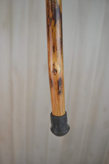 CreationCarvings walking stick in action on a forest trail