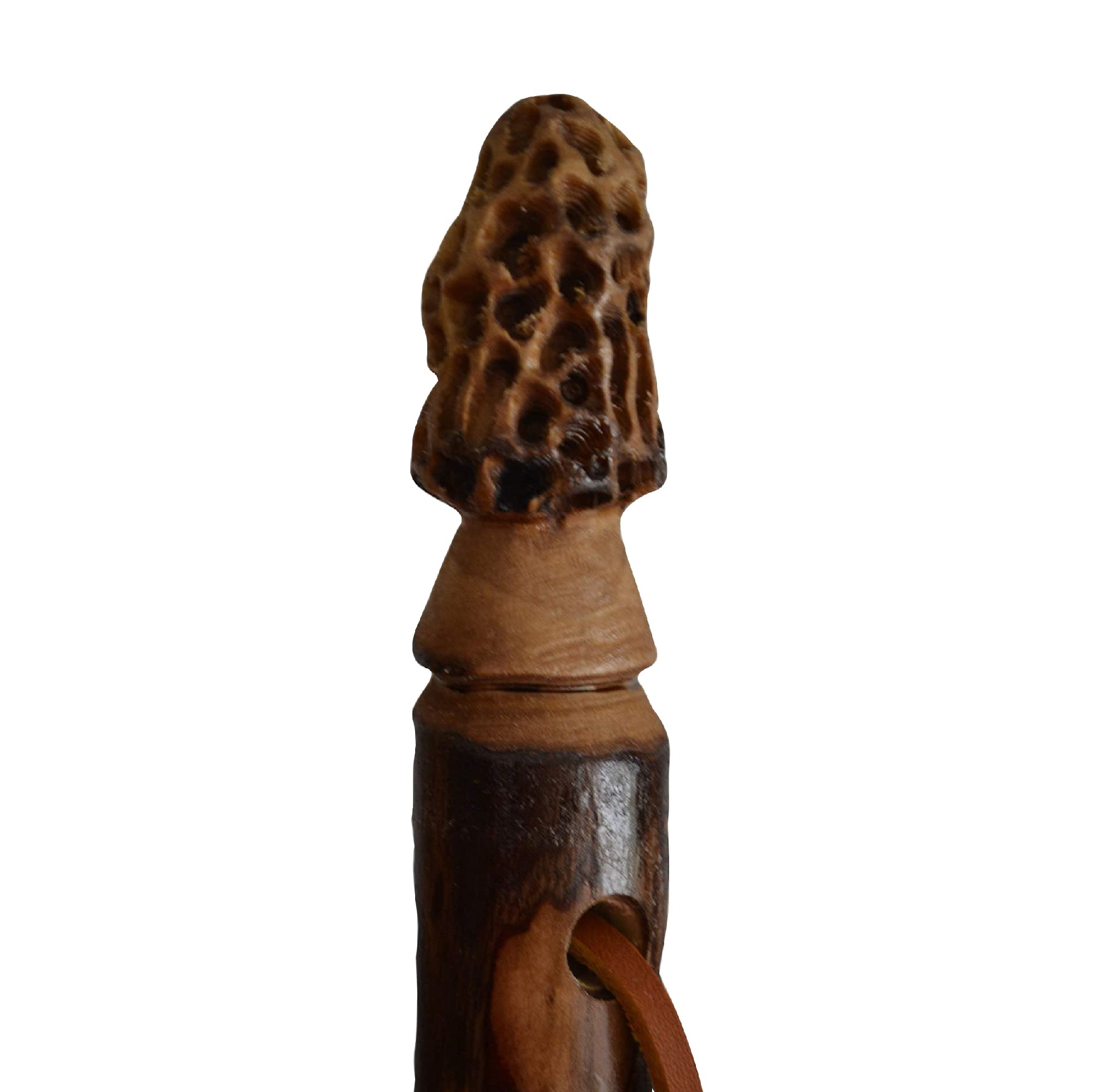 CreationCarvings walking stick with wood handle for comfortable trails.