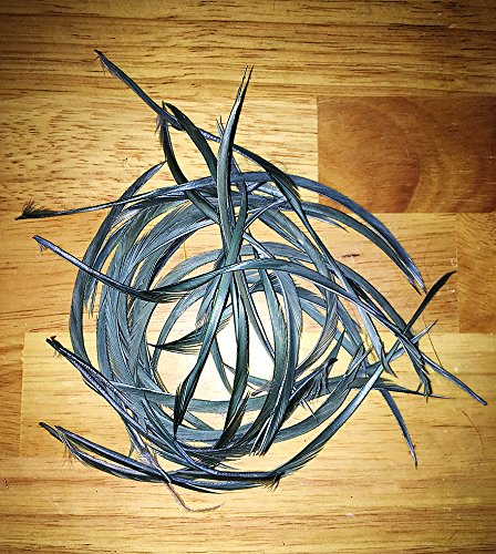Creative Angler Goose Fibers Blue Dun for realistic nymph bodies and tails