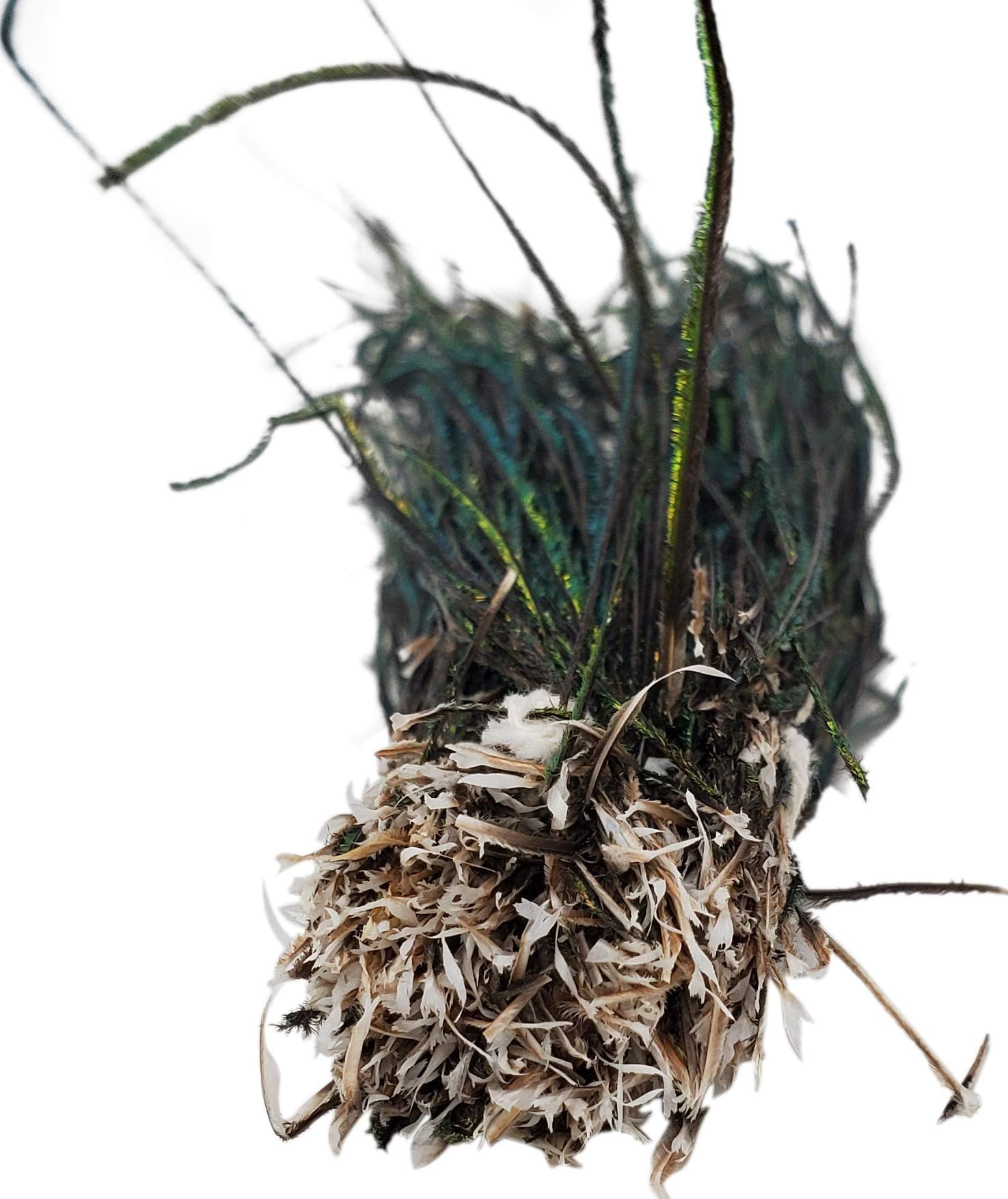 Creative Angler Strung Peacock Herl in use, ready for effortless wrap and durable finishes.