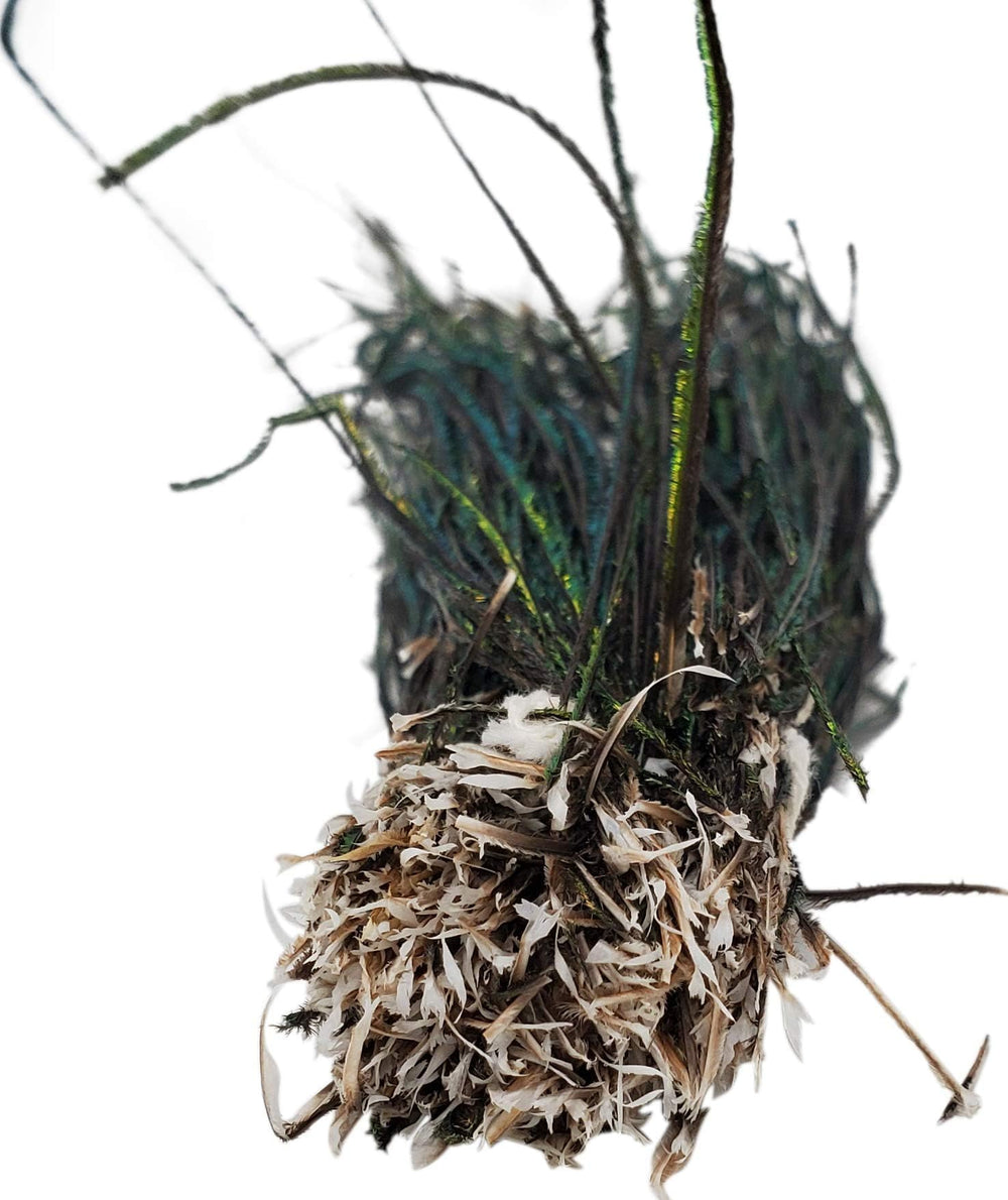 Creative Angler Strung Peacock Herl in use, ready for effortless wrap and durable finishes.