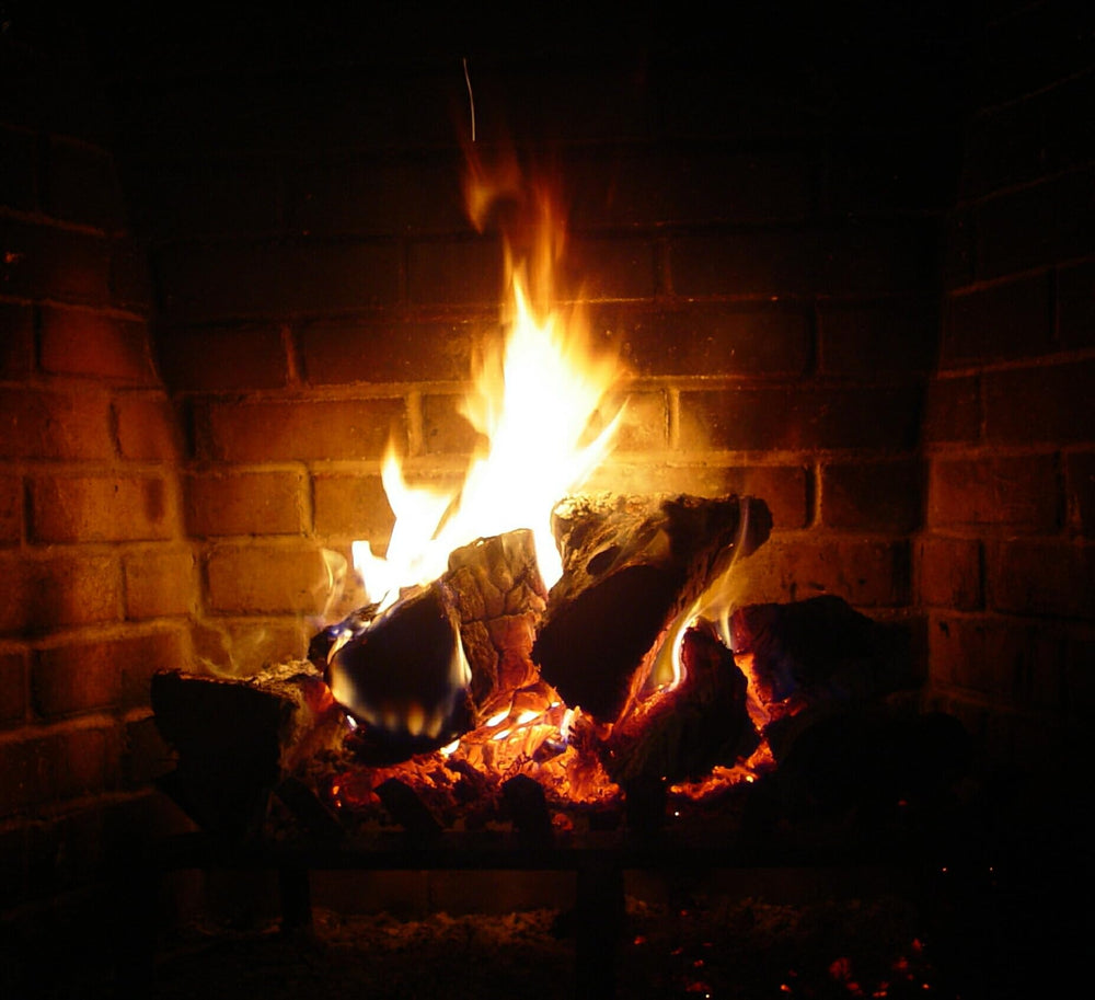 Ignite-O woodstove warmth scene shows dependable fire-starting.