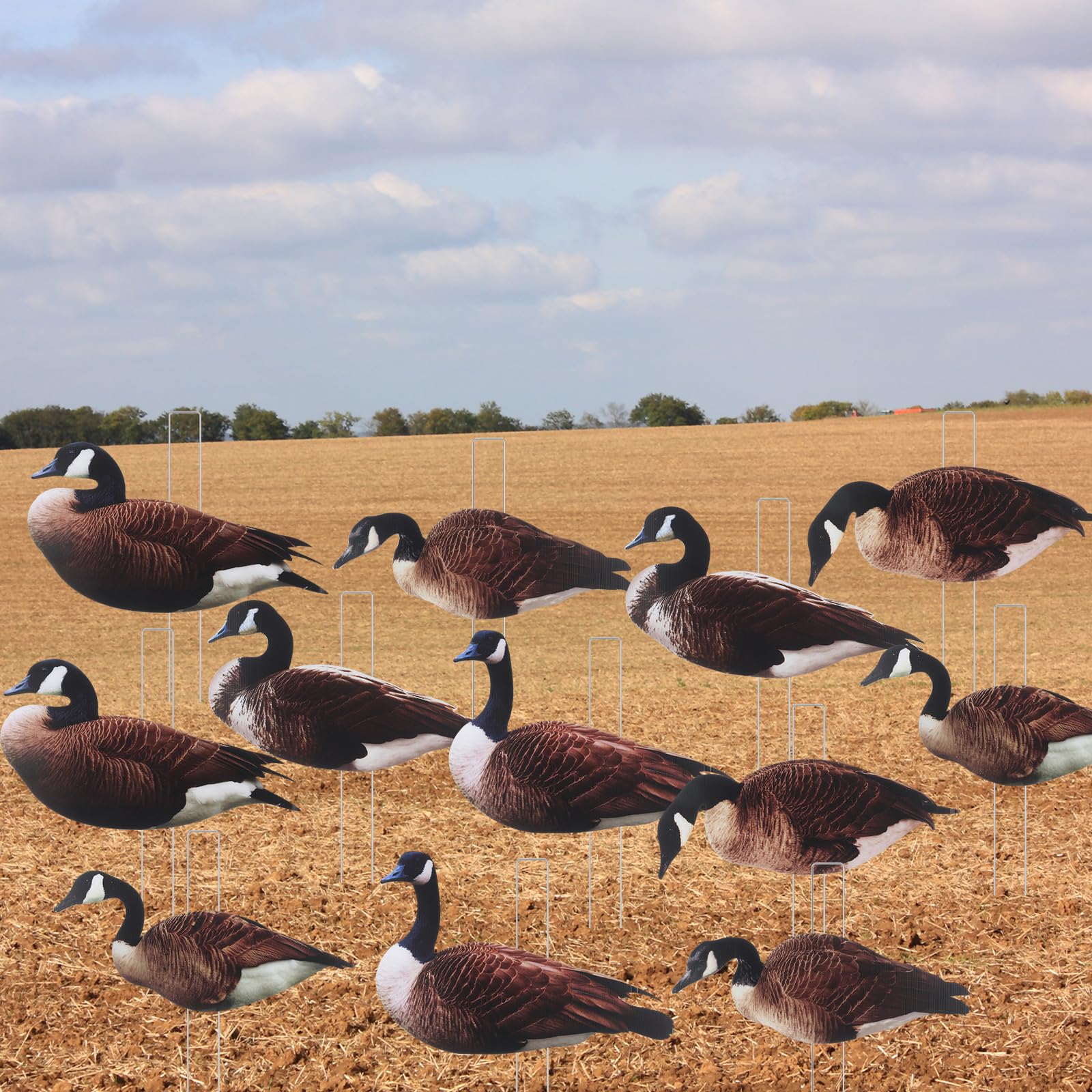 CroBlissful goose decoy pose-6 pack-ready design for easy transport