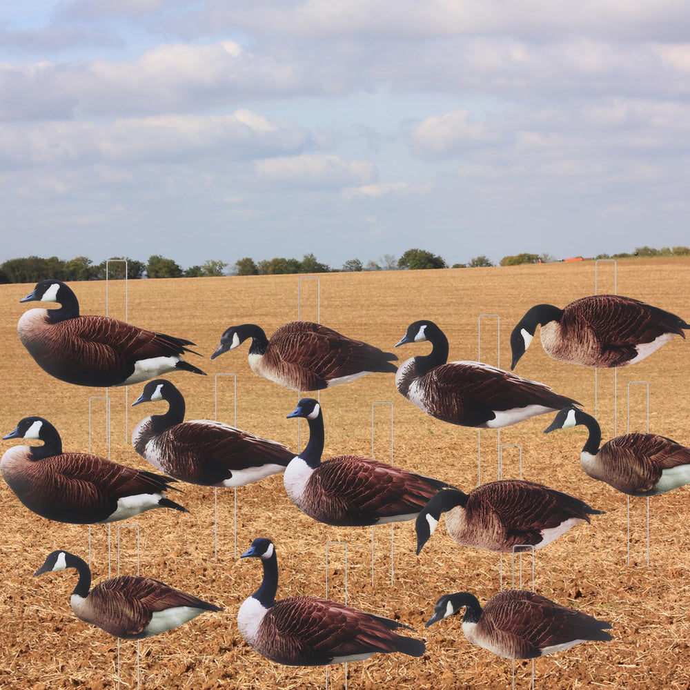 CroBlissful goose decoy pose-6 pack-ready design for easy transport