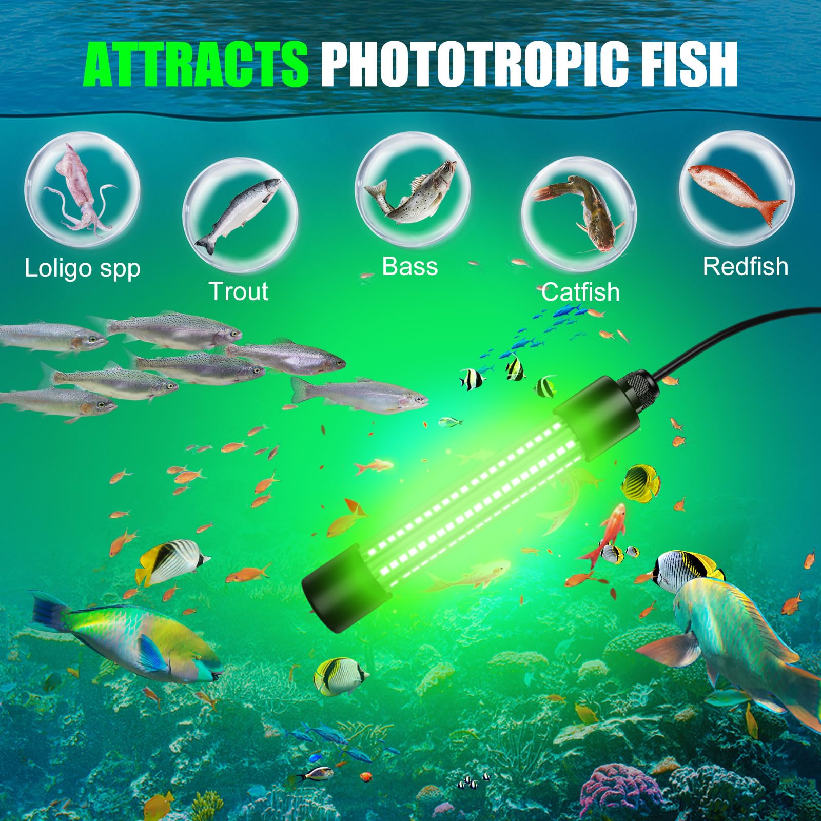 IP68 submersible fishing light for docks, boats and kayaks