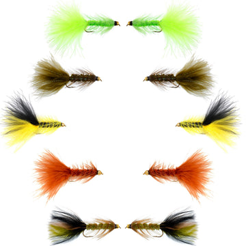 Crystal Woolly Bugger Assortment - Bead Head Wet Fly, Size 4 - image 1