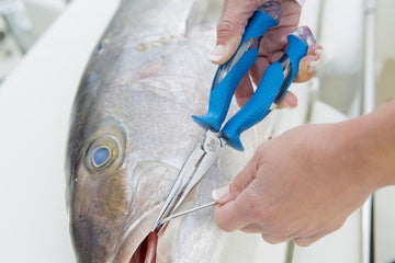 Long-nose design for deep hook removal