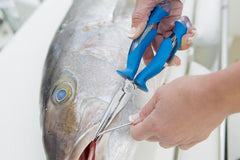 Long-nose design for deep hook removal
