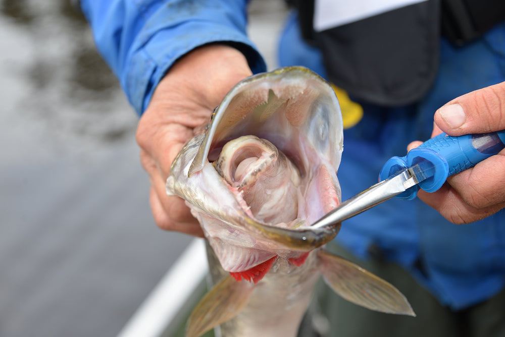 Suitable for saltwater and freshwater fishing