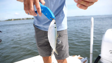 Cuda Bait Dehooker-non-slip-grip promotes steady control while dehooking.