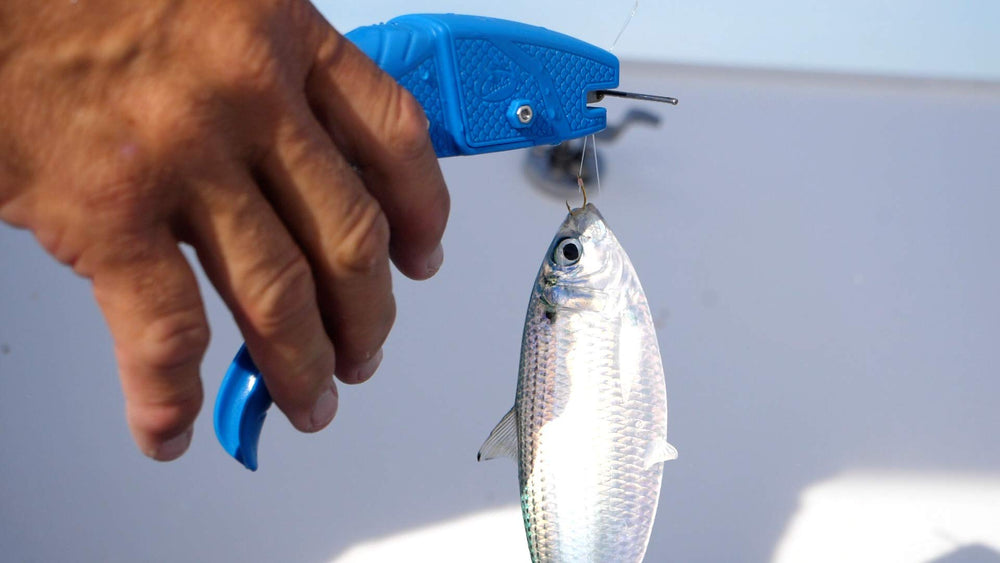 Cuda Bait Dehooker-saltwater-ready finish stays lustrous after repeated use.