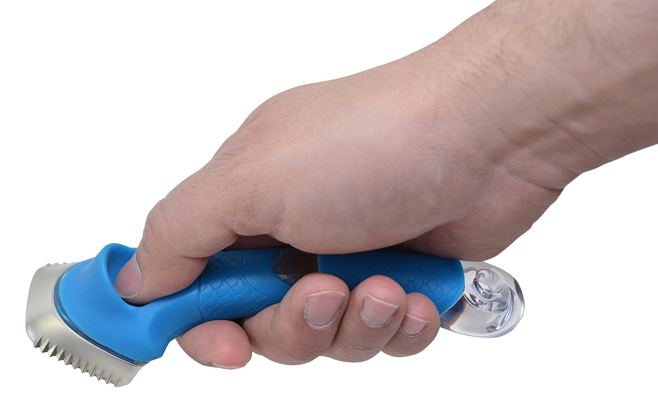 Cuda Descaler BLUE 18115 blue hue design for quick product identification.