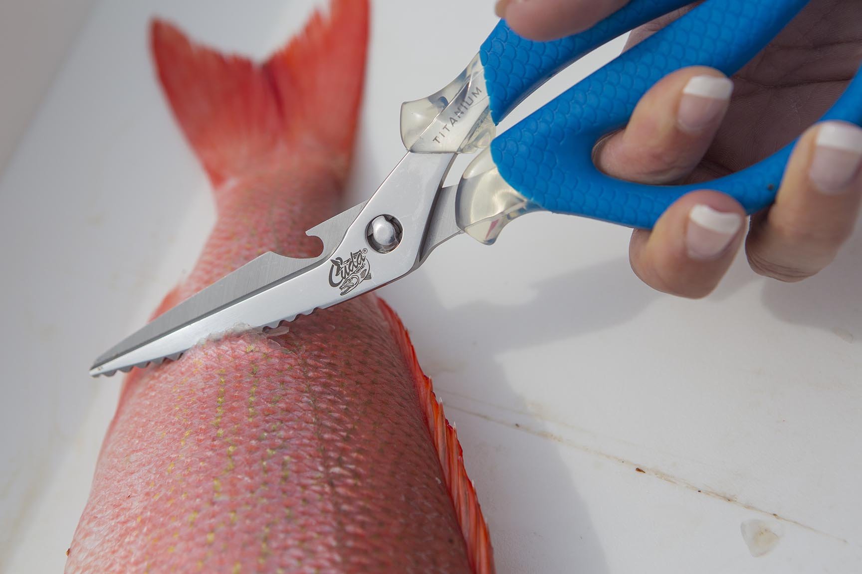 Fish scaling edge on Cuda 8-inch marine shear