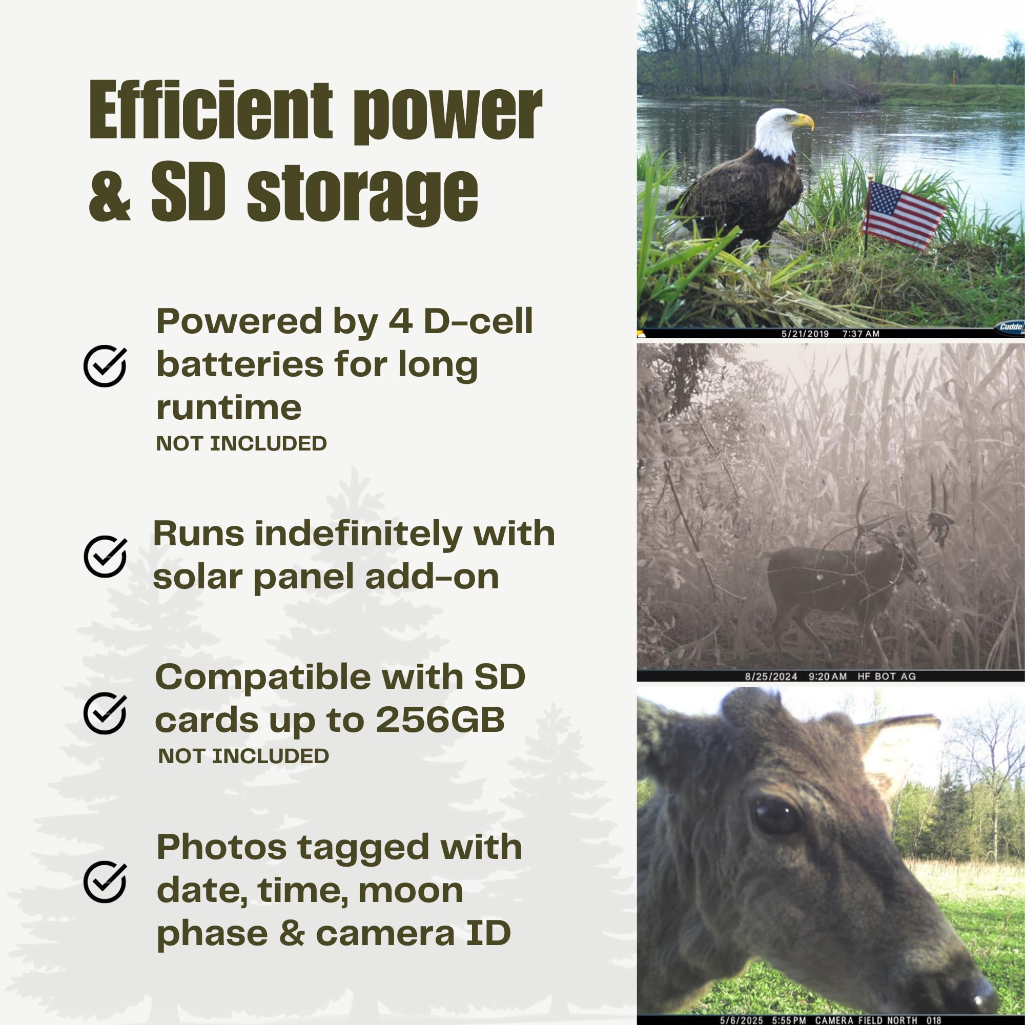 Cuddeback CuddeLink network diagram, demonstrates multi-device image sharing.