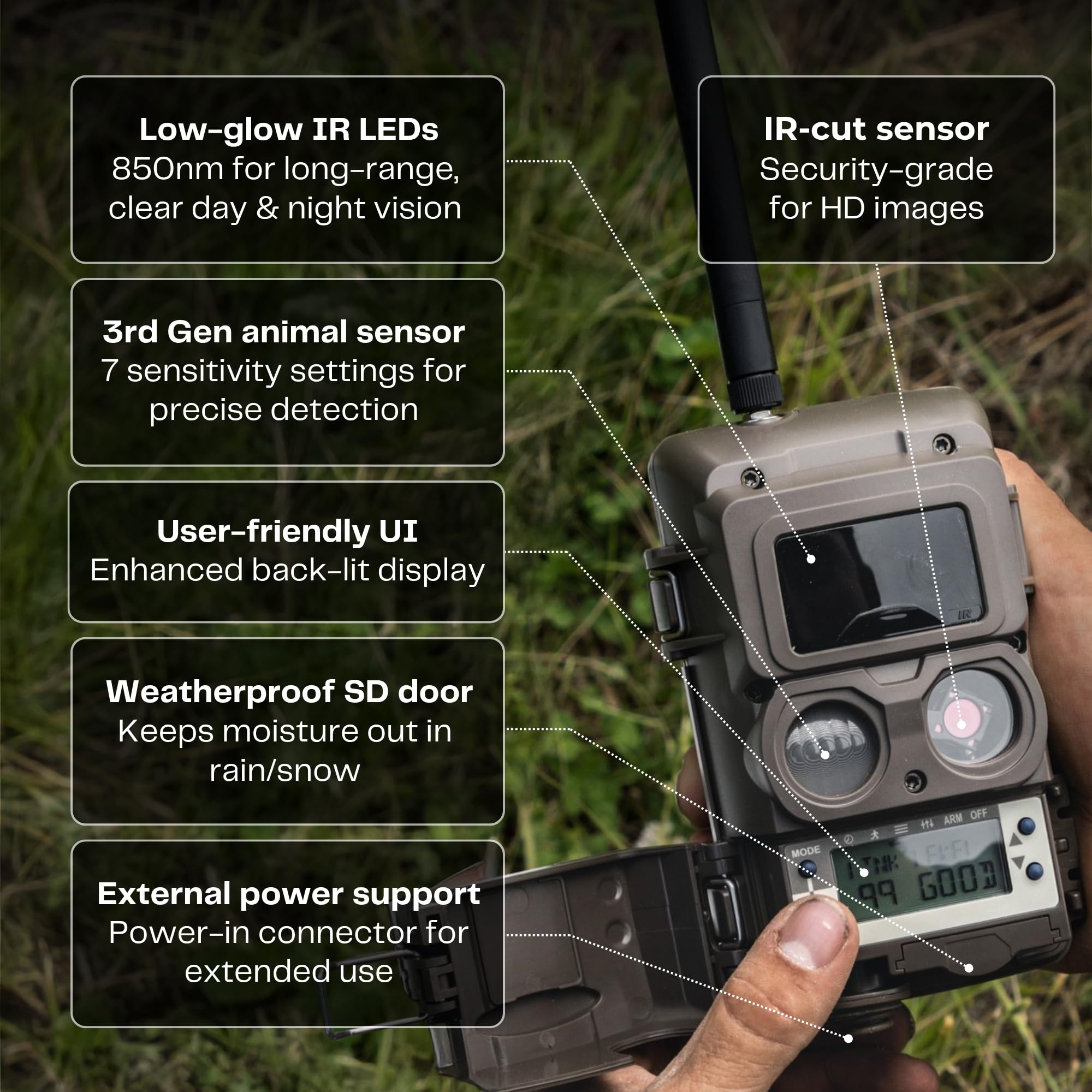 CuddeLink IR Camera at night showing low-glow illumination for wildlife observation.