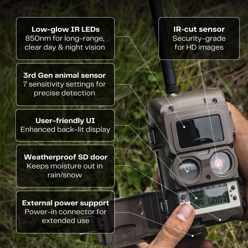 CuddeLink IR Camera at night showing low-glow illumination for wildlife observation.