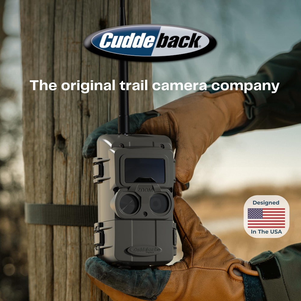 Cuddeback LLZ-5A forest trail scene showcases reliable motion-triggered imaging.