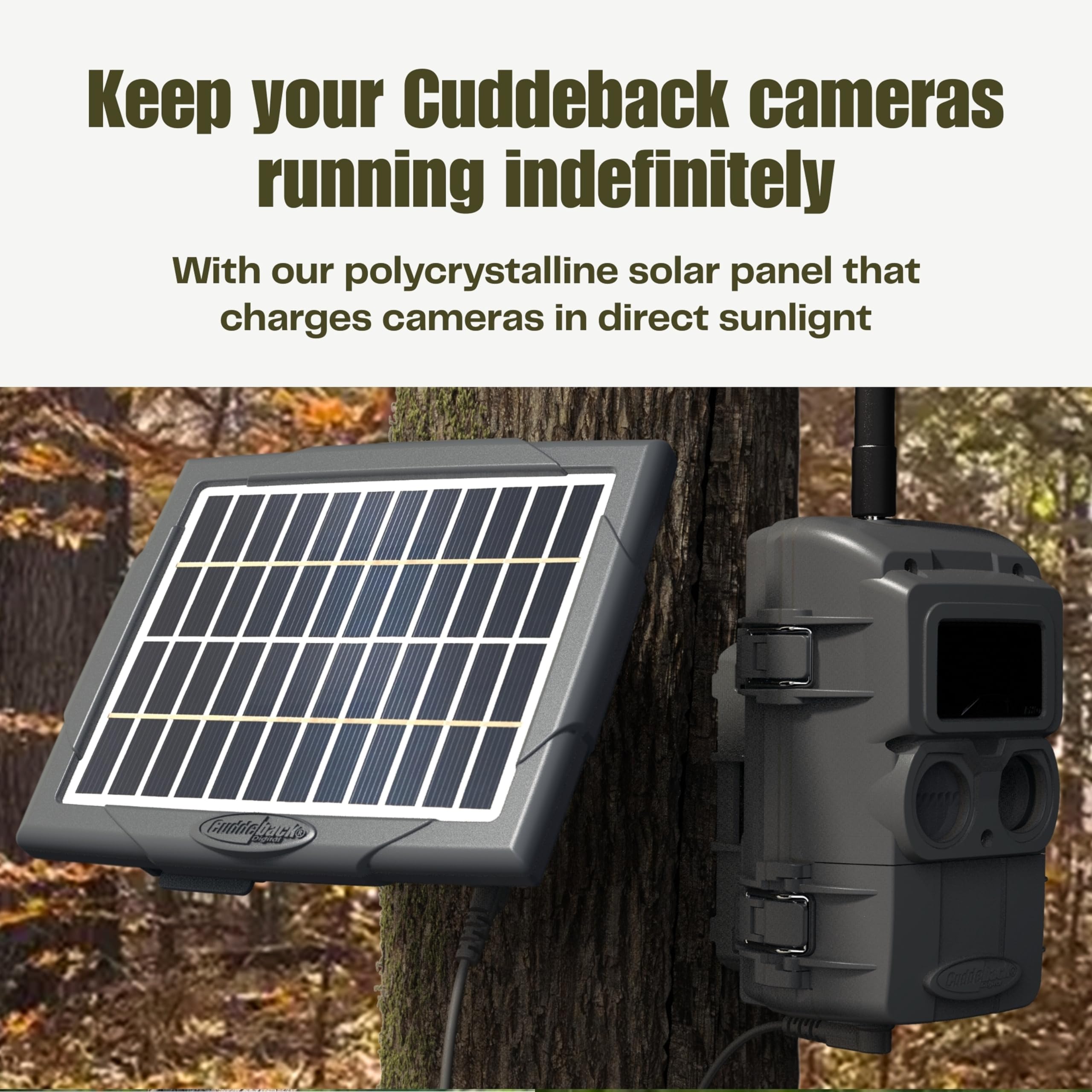 Cuddeback PW-3600 power cable enables seamless solar-to-camera connection.